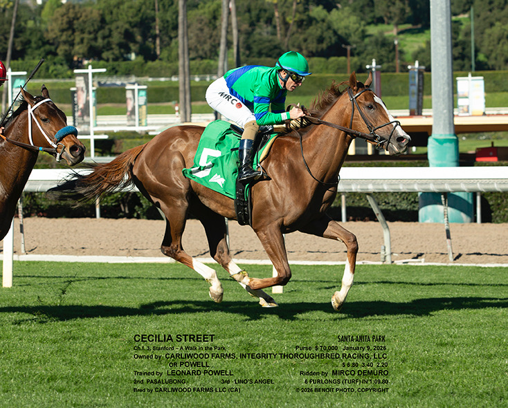 Cecilia Street Santa Anita Horse Race Win 1-9-26